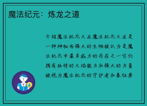 魔法纪元：炼龙之道