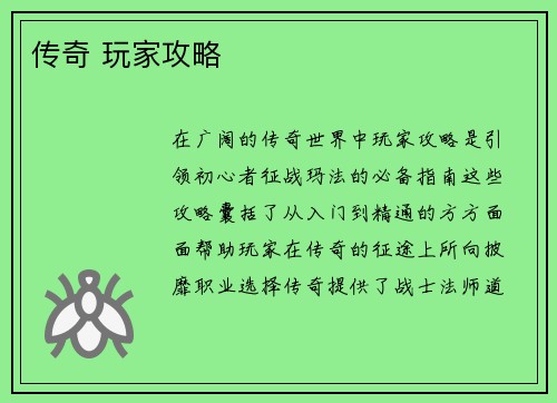 传奇 玩家攻略